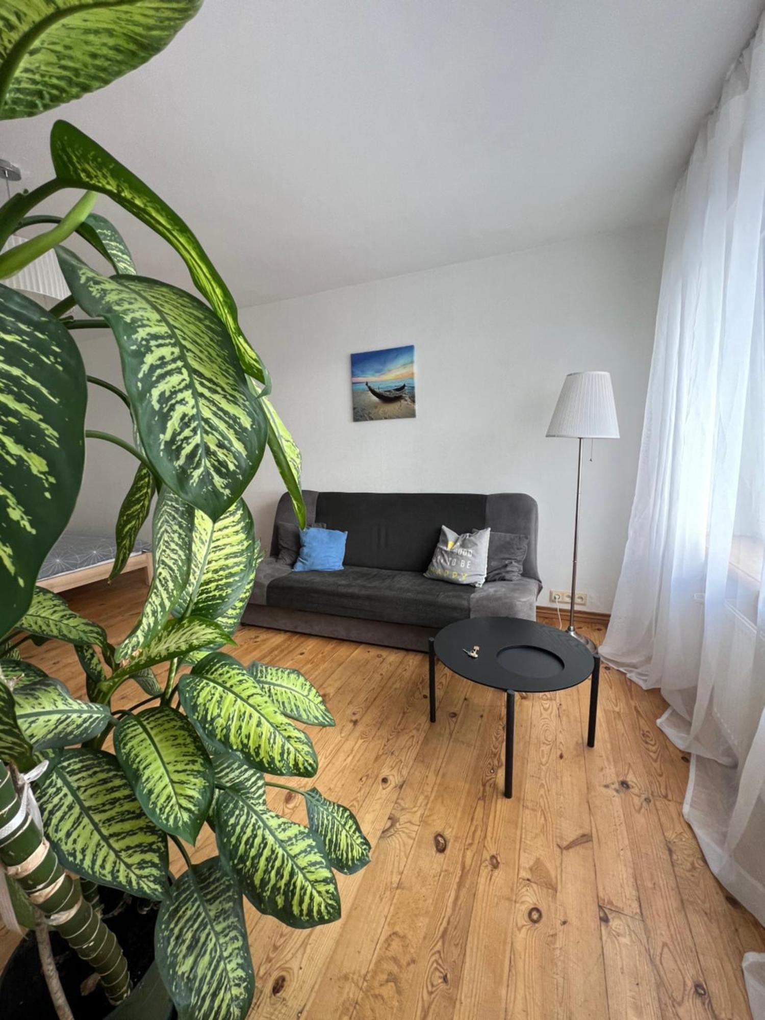 Amazing View Apartment يلغافا المظهر الخارجي الصورة